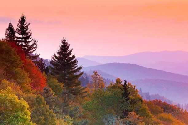 Dreams Come True With This Luxury Cabin! Gatlinburg Bagian luar foto