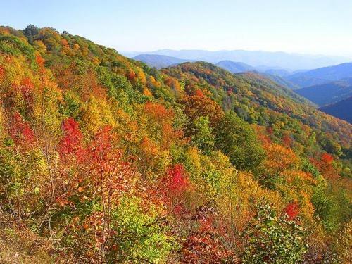 Dreams Come True With This Luxury Cabin! Gatlinburg Bagian luar foto