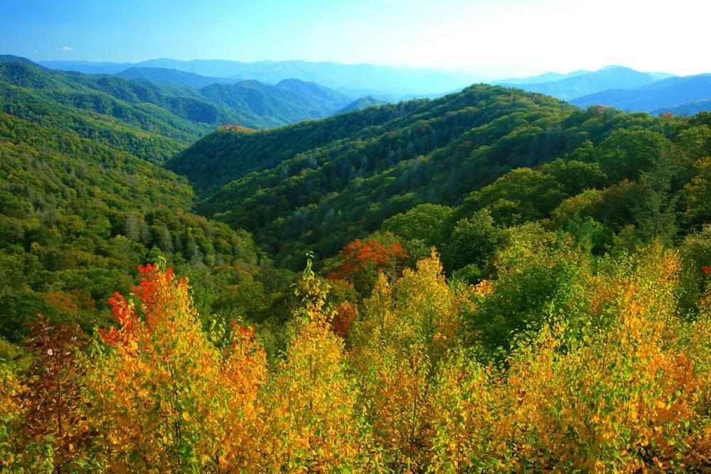 Dreams Come True With This Luxury Cabin! Gatlinburg Bagian luar foto